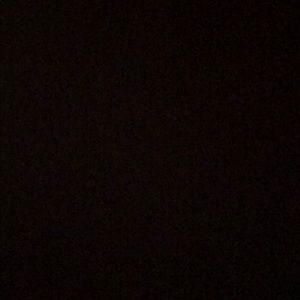 Meet your Posher, Dane